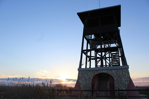 mirador migjorn