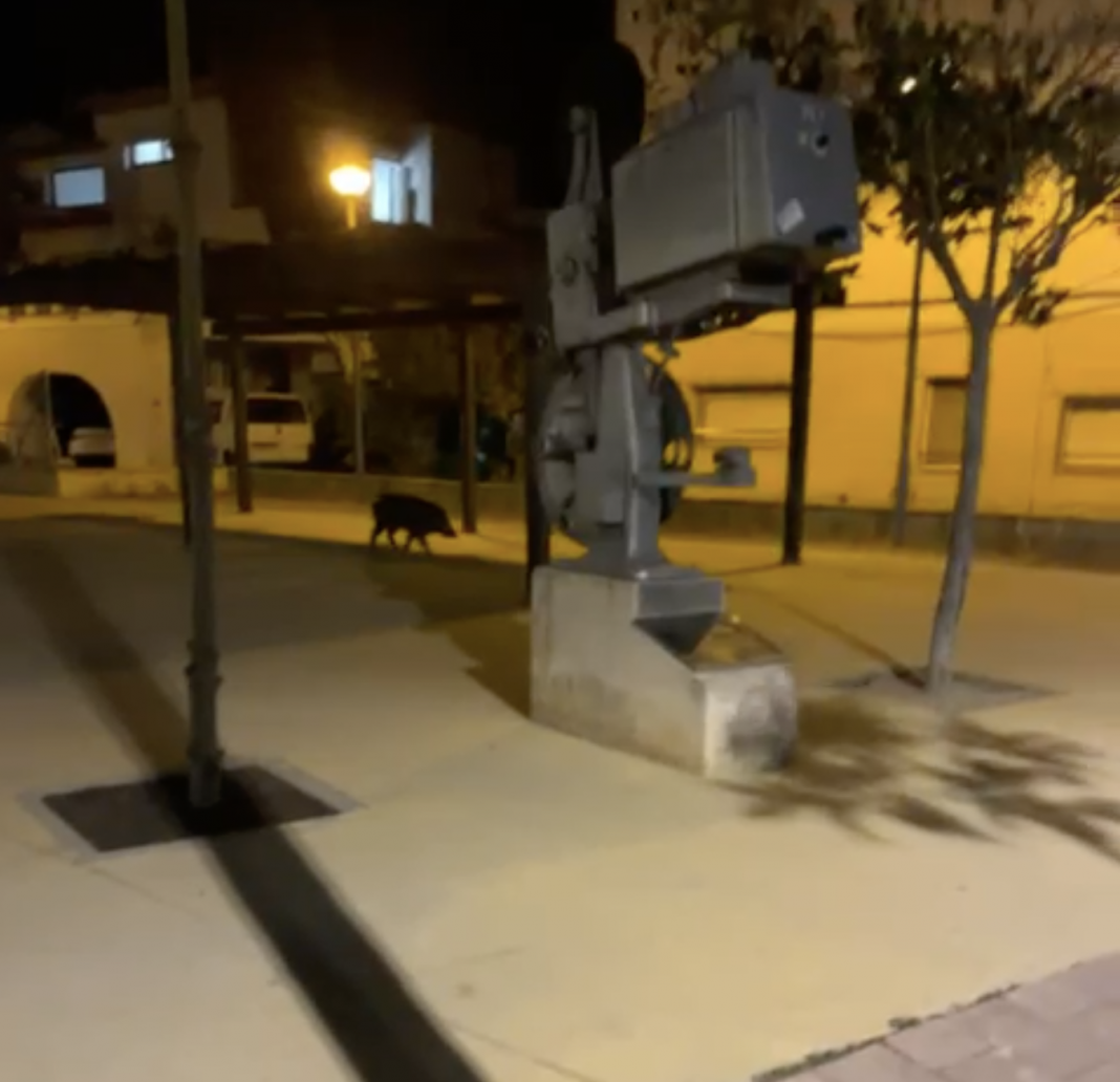 Captura de pantalla 2022-11-29 a les 12.16.15