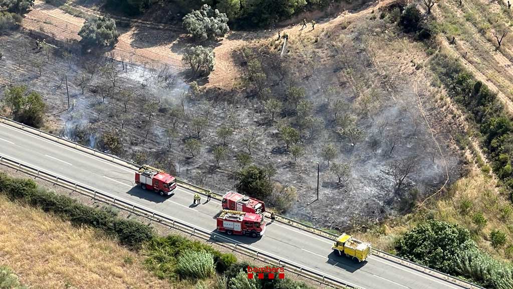 Els Bombers donen per controlat un foc d'alta intensitat al voral de l'N-420 a la Fatarella