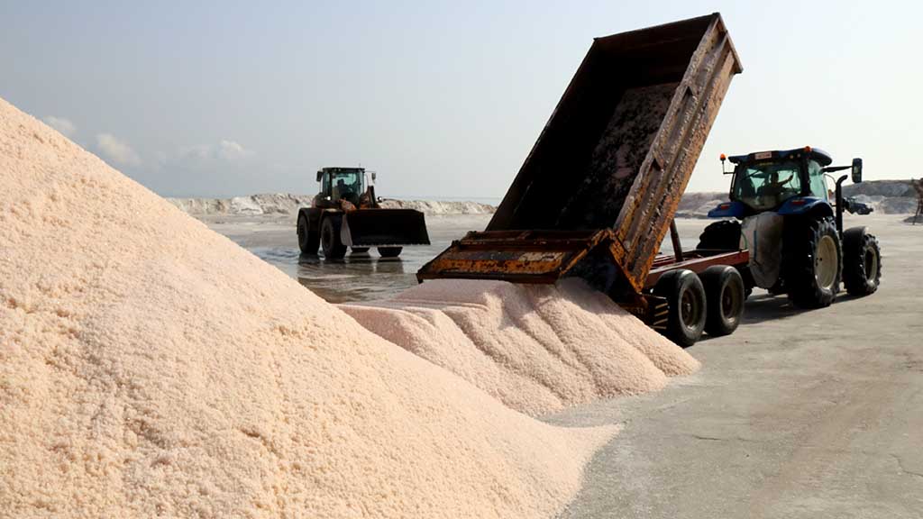 La sal del delta de l'Ebre veu també frenada la seva venda als Estats Units amb els aranzels de Trump