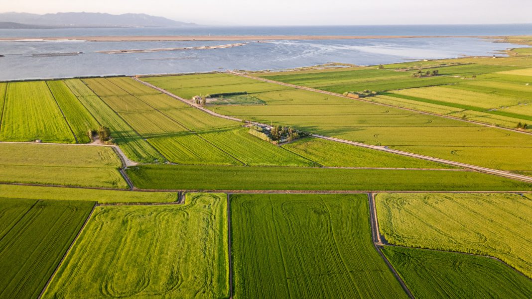Els paisatges agrícoles del Delta i les Terres de l’Ebre protagonistes del setembre en el projecte '12 paisatges, 12 mesos'