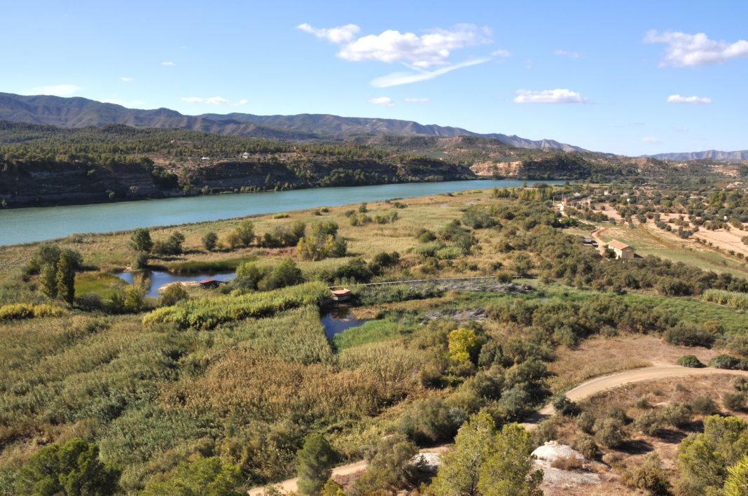 La Reserva Natural de Sebes celebra 30 anys de conservació i educació ambiental